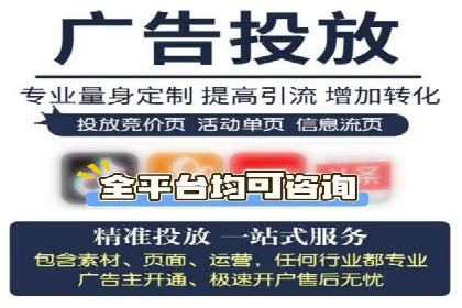 SEM推广优化中的关键词策略——以某品牌为例